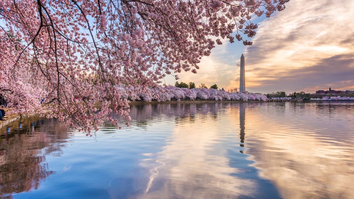 12 Hours in Washington DC - The Ultimate Guide