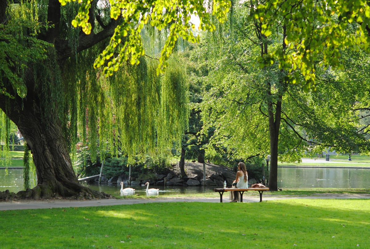Boston's Best Neighborhoods to Stay at During Your Vacation