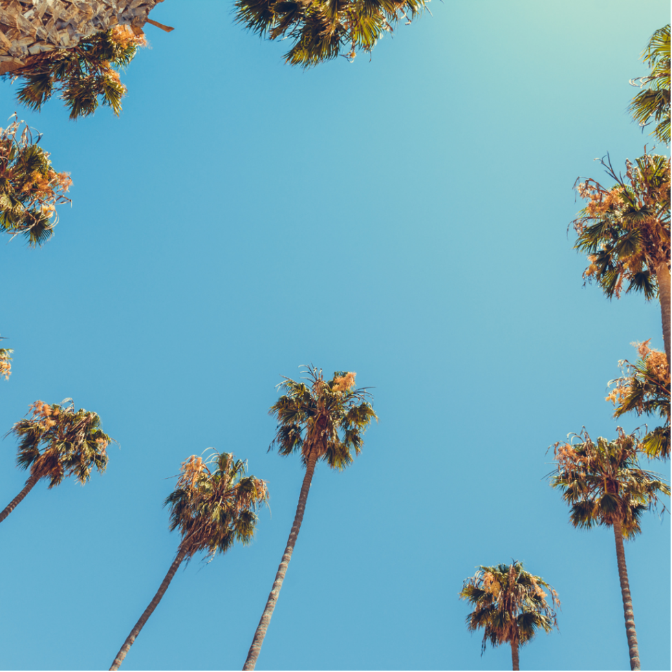 One Day in Santa Barbara: The Ultimate Itinerary