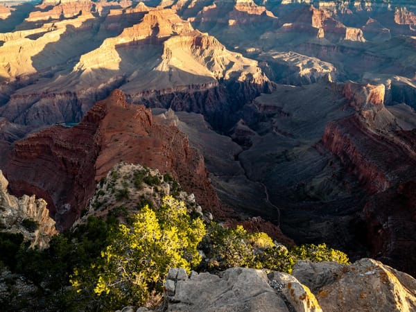Essential Travel Tips for Grand Canyon National Park